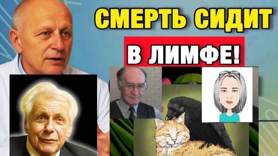 Это надо знать кому за 50 -_лимфа фундамент и стабильность здоровья смотреть онлайн