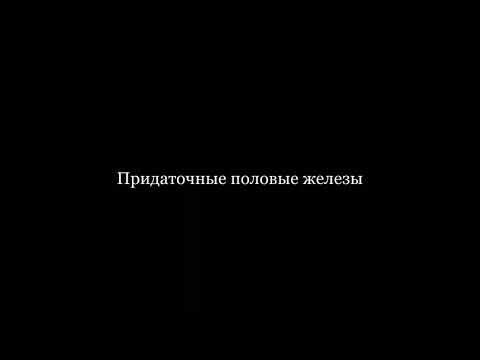 Придаточные половые железы самцов