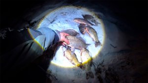 НОВОГОДНЯЯ РЫБАЛКА