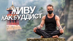 ep.9: живу как дзен-буддист \\\ видеодневник