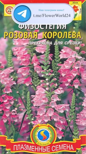 Забытая красавица — возвращается в сады! смотреть онлайн