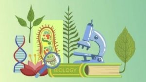 Биология 9 класс. Ассимиляция и диссимиляция.