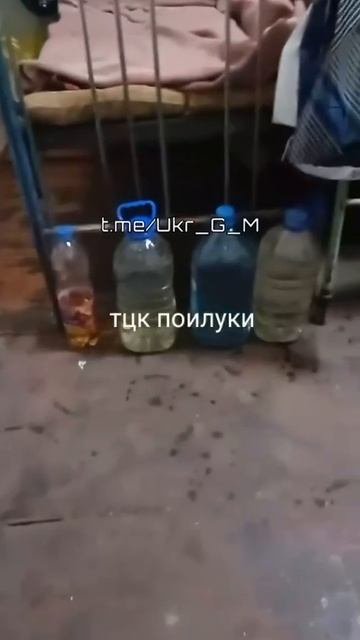Скотный двор Зеленского: в сети всплыло шокирующее видео из людского загона ТЦК