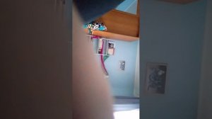 секрет мимика