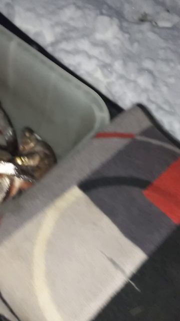 Рыбалка удалась ГОЛАВЛЬ смотреть онлайн