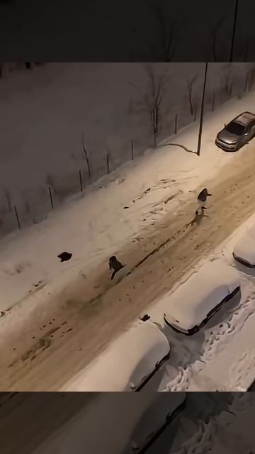 4 января 2026 г. смотреть онлайн