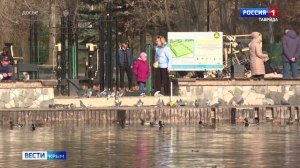 Дайджест Вести Крым: Какие изменения законодательства вступили в силу с начала года?