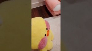 двоечник часть 6