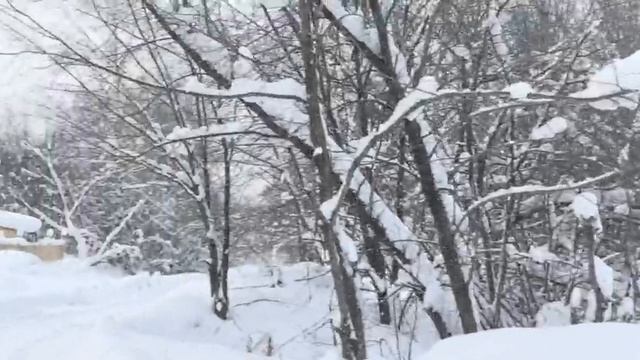 Тополевая смотреть онлайн