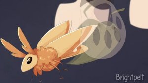 Листвичка и Мотылинка/Мап/Коты воители