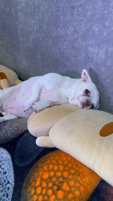 Самая балдежная.