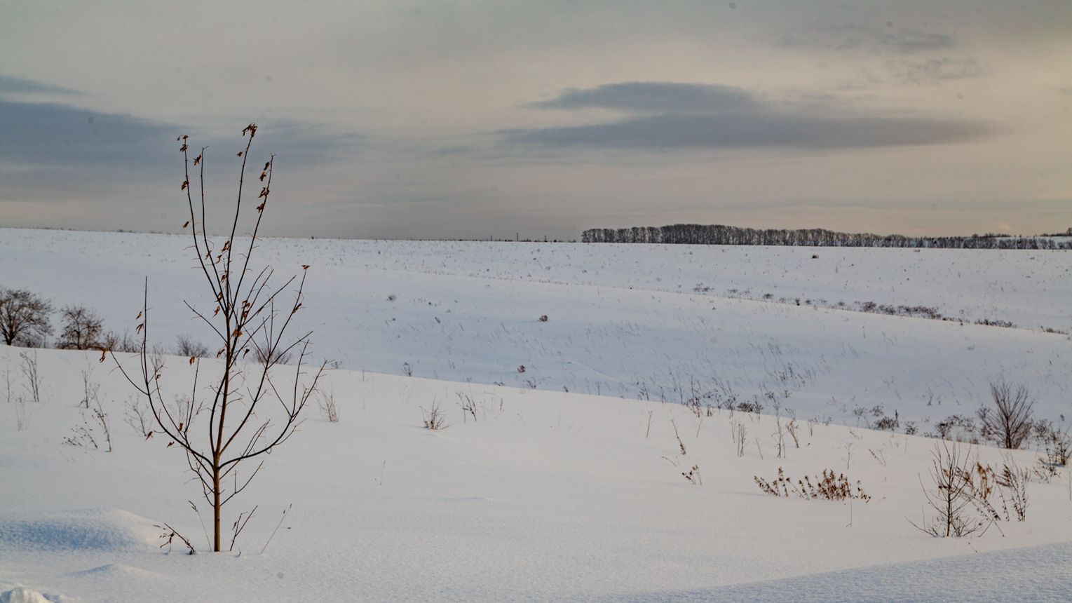 Сосновка Шория смотреть онлайн
