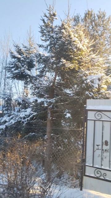 ЗАНОСИЛО НЕ ПО-ДЕТСКИ! Наша дача в Карелии ИСЧЕЗЛА под снегом при -25°C смотреть онлайн