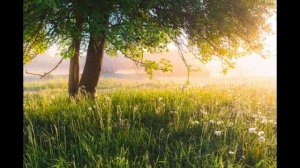 Огненные стрелы (Suno AI)