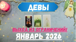 ДЕВЫ♍ТАРО ПРОГНОЗ на ЯНВАРЬ 2026