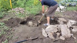 при посадке дерева наткнулись на большой камень