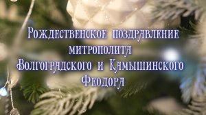 Рождественское поздравление митрополита Феодора