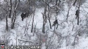 Работает "Сомали"