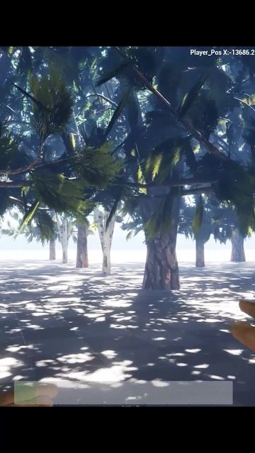 Утренняя прогулка в 3D лесу после дождя