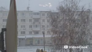 Vlog/204/ У нас метель/ Каждый занят своим делом...