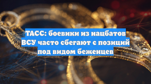 ТАСС: боевики из нацбатов ВСУ часто сбегают с позиций под видом беженцев