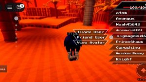 играю в игру roblox про Соника 2 часть