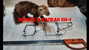 МАЧЕТЕ и капкан КН-1 на соболя и белку.