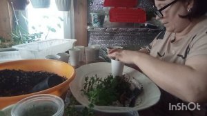 5-01-2026. Жизнь в деревне.Руки уже чешутся что то хочется сажать.