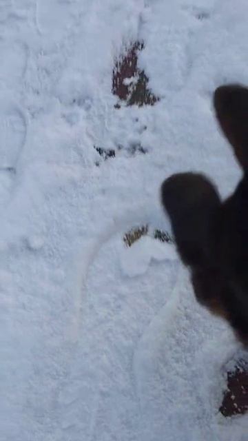 Баларис УНГВАРИ - встречаем Новый 2026 год! смотреть онлайн