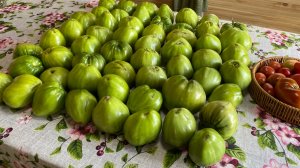 Какие томаты буду сажать в 2026 году.