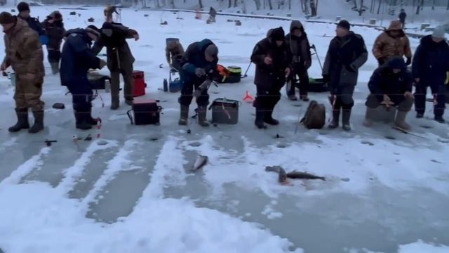 05.01.26 г. РК Волна. смотреть онлайн