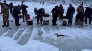 05.01.26 г. РК Волна.