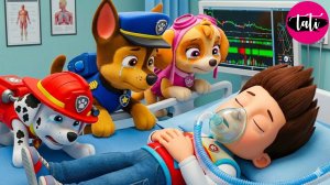 Щенячий патруль и Маршалл. Залипательное видео. Мультфильм для детей и малышей. Анимация 51