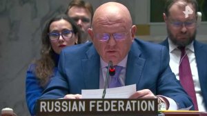 Небензя потребовал от США немедленно освободить Мадуро и его супругу