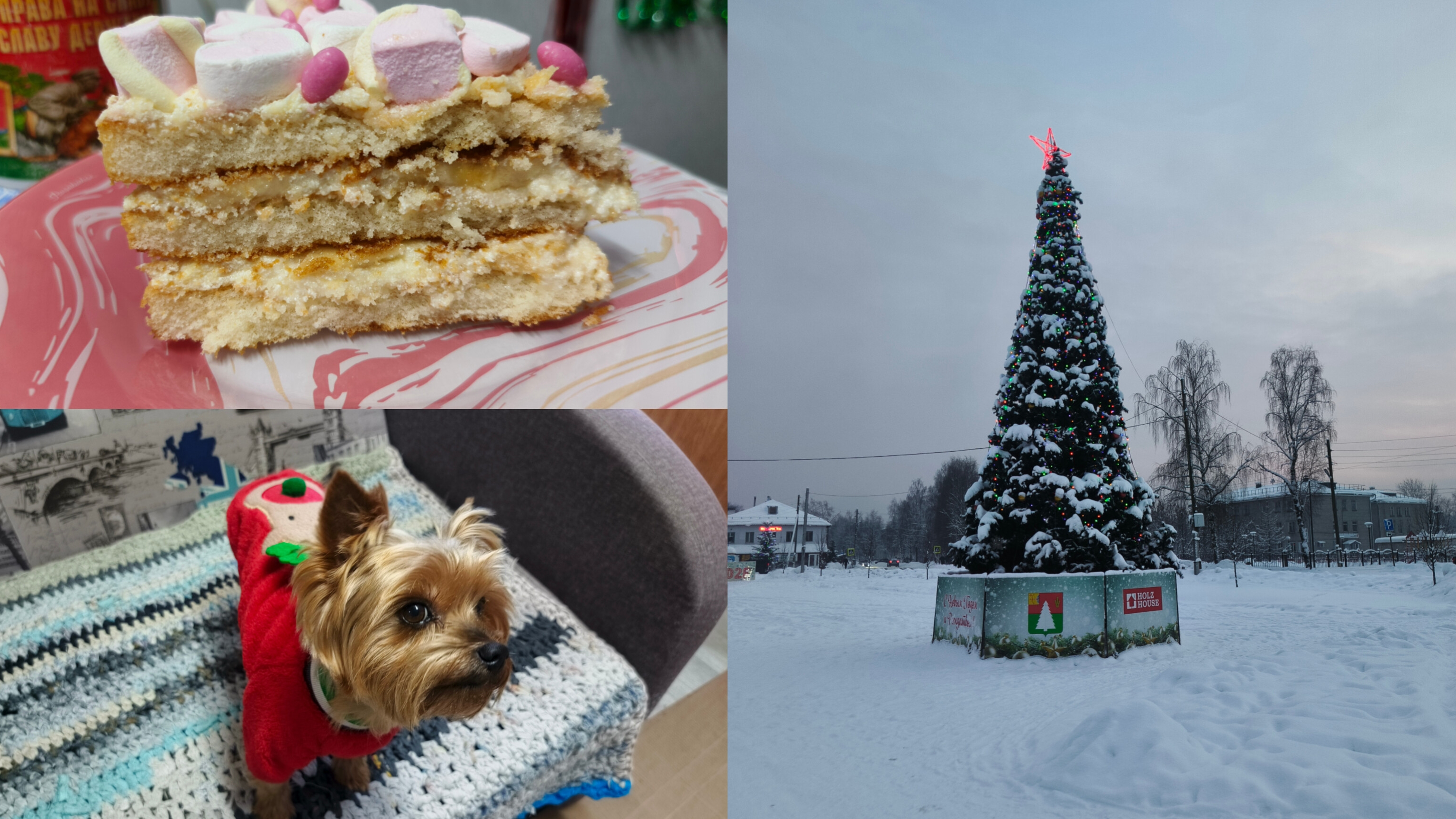 Поездка в г.Луза ,покупки,собираем шкафчик,готовим салат . смотреть онлайн