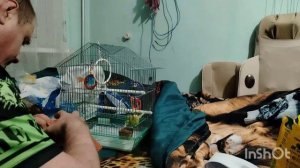 87).05.01.26.г.Моя городская жизнь.👩🏢❄️❄️❄️.🎄🧑🎄🎉🎇🎆купили попугаев 🦜🦜.