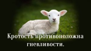 Кротость противоположна гневливости