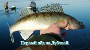 Первый лёд на Дубовой