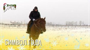 Жокей приручает коней песнями и вкусной морковкой