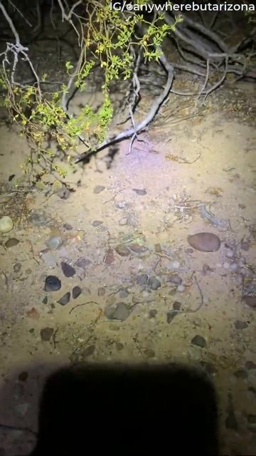 Такой концовки я и сам не ожидал (134) смотреть онлайн