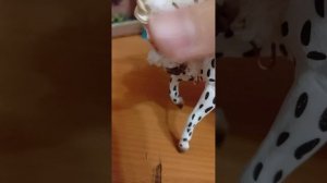 обзор АМУНИЦИИ