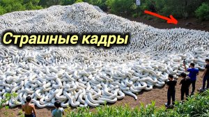 05.01-2026. ЧП. КАТАКЛИЗМЫ. КАТАСТРОФЫ, ПРОИСШЕСТВИЯ ЗА ДЕНЬ. новости дня. СЕГОДНЯ