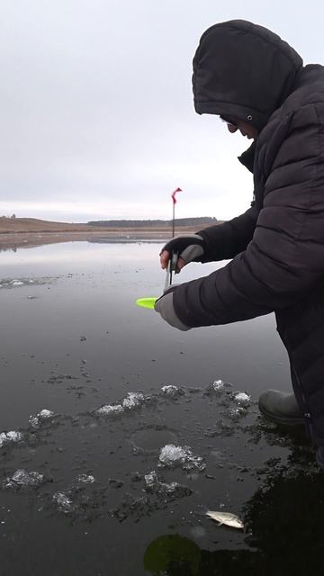 ЩУКА С БОНУСОМ. #shorts #рыбалка #fishing #рыба #fish #эдвардкосичка #природа #nature #отдых #rest смотреть онлайн