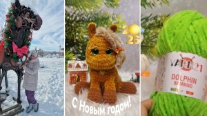 Вязовлог 1 от 05.01 2026 года. Довязала Символ года🐎 /  Прогулка по снежному городу🎄 / Новинки 🔥