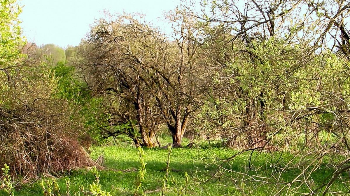 Май. Распогодилось... смотреть онлайн