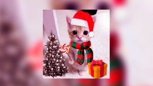 ♡Новый плейлист популярных песен из тик тока 2026♡ (speed up)