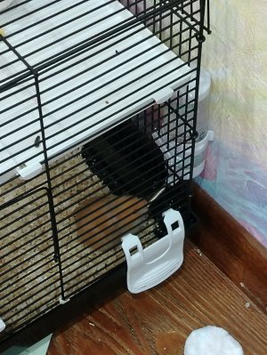 Вика и Соня