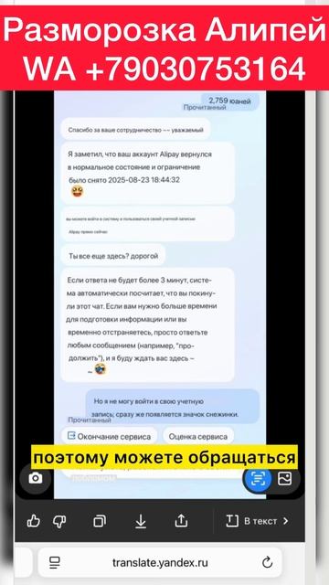 Когда разблокировали но не можешь зайти АЛИПЕЙ #алипей #alipay смотреть онлайн