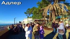 АДЛЕР. НАБЕРЕЖНАЯ МЗЫМТЫ. МАНДАРИН. ПЛЯЖ ЧАЙКА. ЮЖНОЕ ВЗМОРЬЕ. ЛАЗУРЬ.