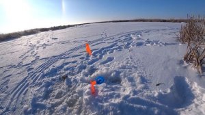 Рыбалка на жерлицы 1.01.2026 С Новым Годом! рыбалка январь 2026